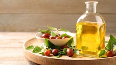 جوجوبا چیست؟ خواص روغن جوجوبا برای مو و پوست