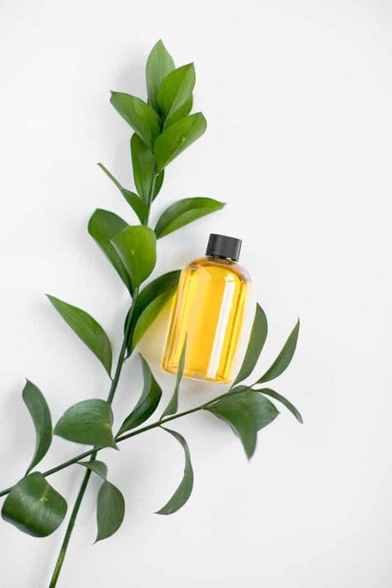 روغن مناسب برای روتین پوست-خانومی