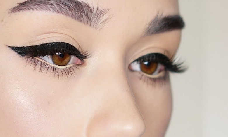 گربه‌ای پهن
