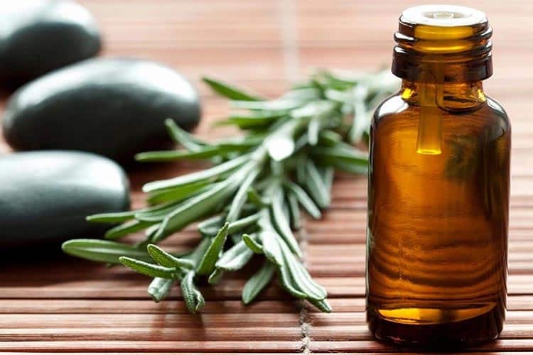 فواید روغن رزماری برای سلامتی