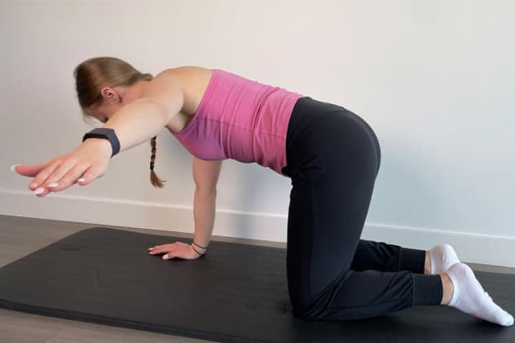 تمرین ورزشی فلای بک چهار دست و پا