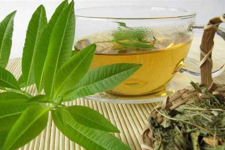 دمنوش به لیمو در طب سنتی