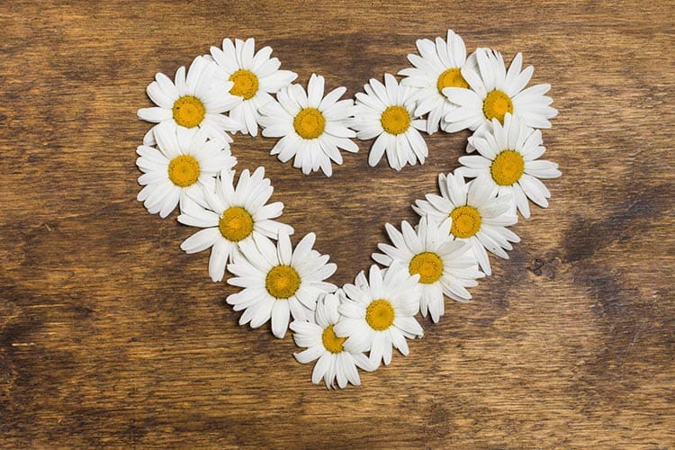 خواص بابون برای قلب