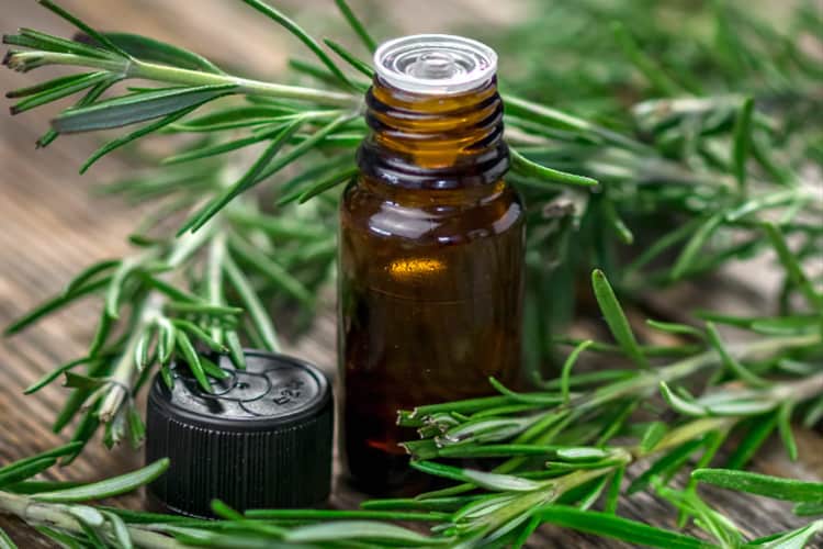 خواص روغن رزماری برای مو