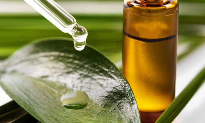 استفاده از روغن درخت چای برای درمان جوش زیرپوستی