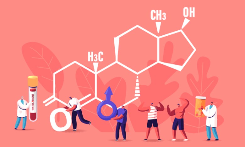 افزایش تستوسترون در مردان