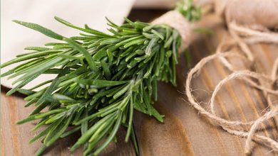 بهترین شامپو رزماری