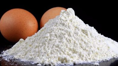 پودر سفیده تخم مرغ برای بدنسازی