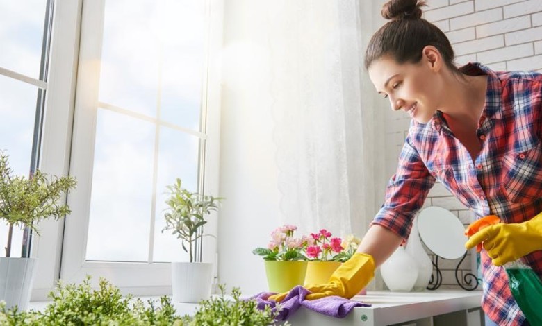 تمیزکردن اطراف گلدان‌ها