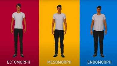 انواع بدن در بدنسازی