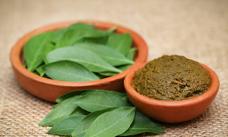 حنا برای انواع مو