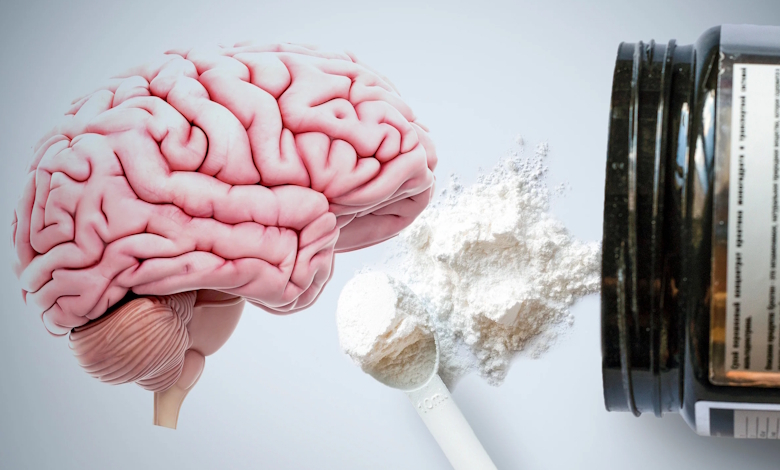 کراتین مونوهیدرات و سلامت مغز