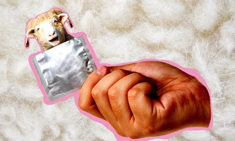 استفاده از کاندوم پوست بره برای جلوگیری از حساسیت به لاتکس