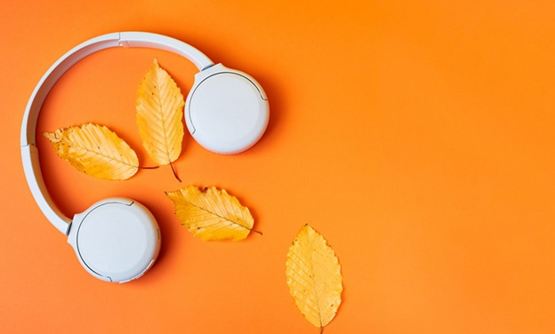 بهترین هدفون برای موسیقی