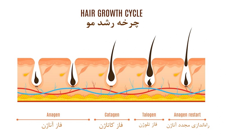 برای رشد سریع مو چیکار کنیم