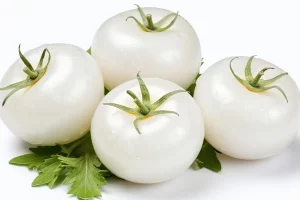 گوجه‌فرنگی سفید